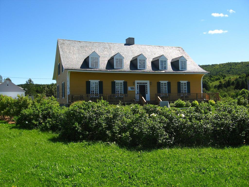 Motel Le Noroit L'Anse-au-Griffon ภายนอก รูปภาพ