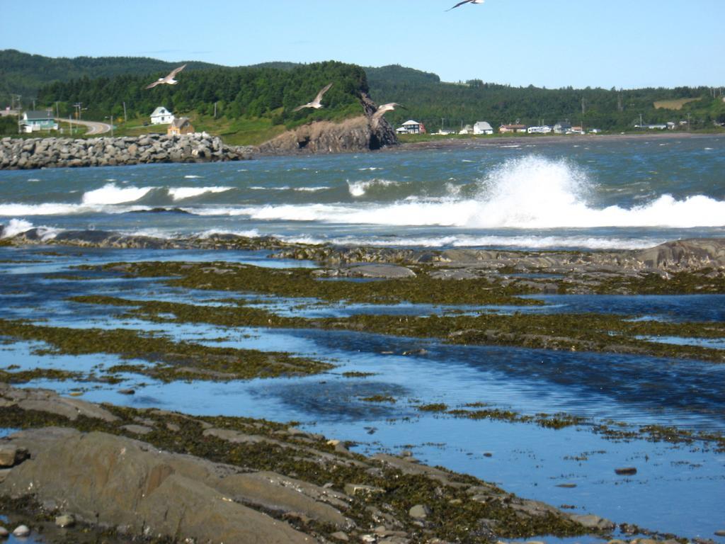 Motel Le Noroit L'Anse-au-Griffon ภายนอก รูปภาพ